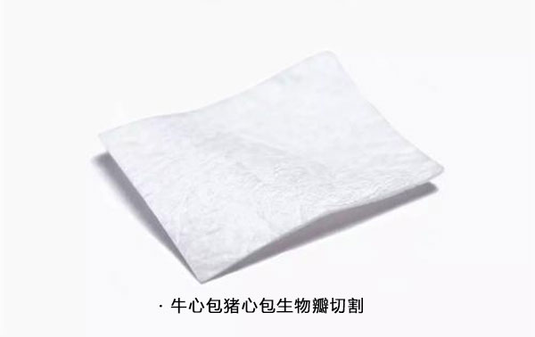 牛心包膜豬心包膜切割 生物瓣膜豬心包和牛心包 牛心包膜豬心包膜切割 生物瓣膜豬心包和牛心包